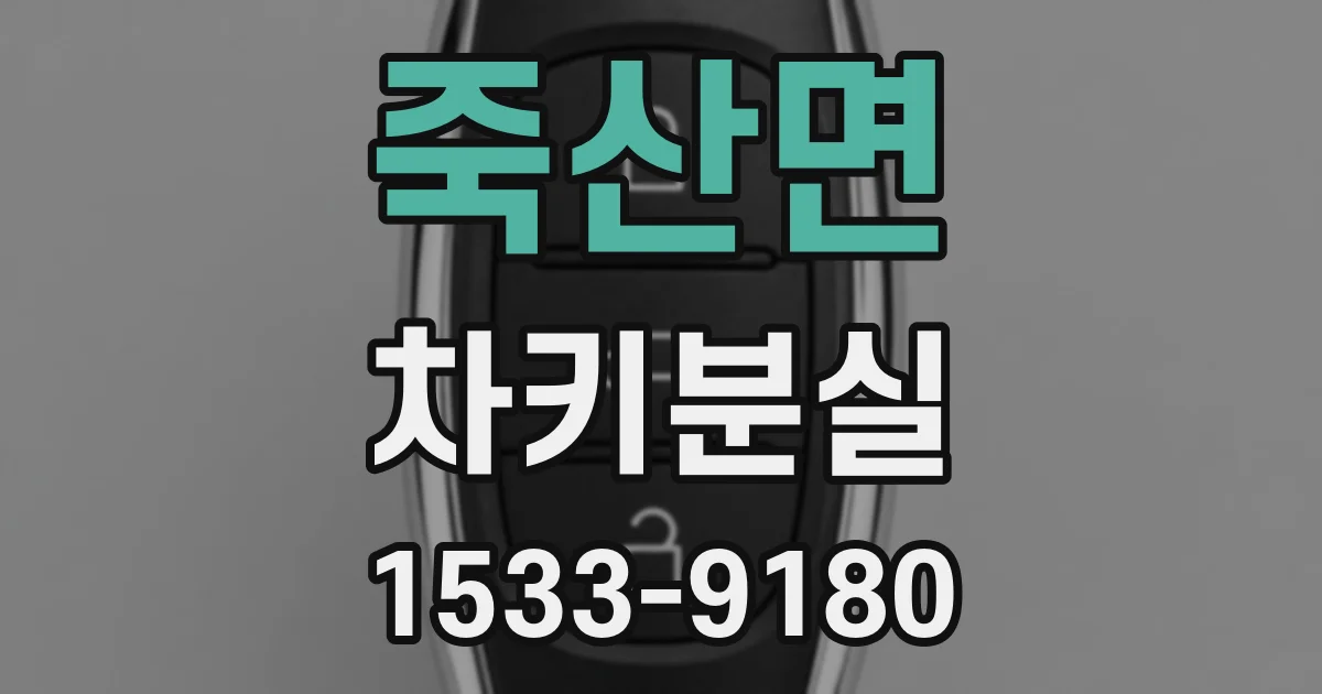 죽산면 차키분실