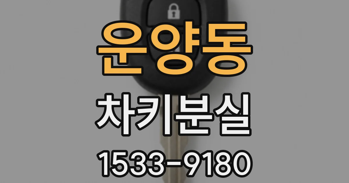 운양동 차키분실