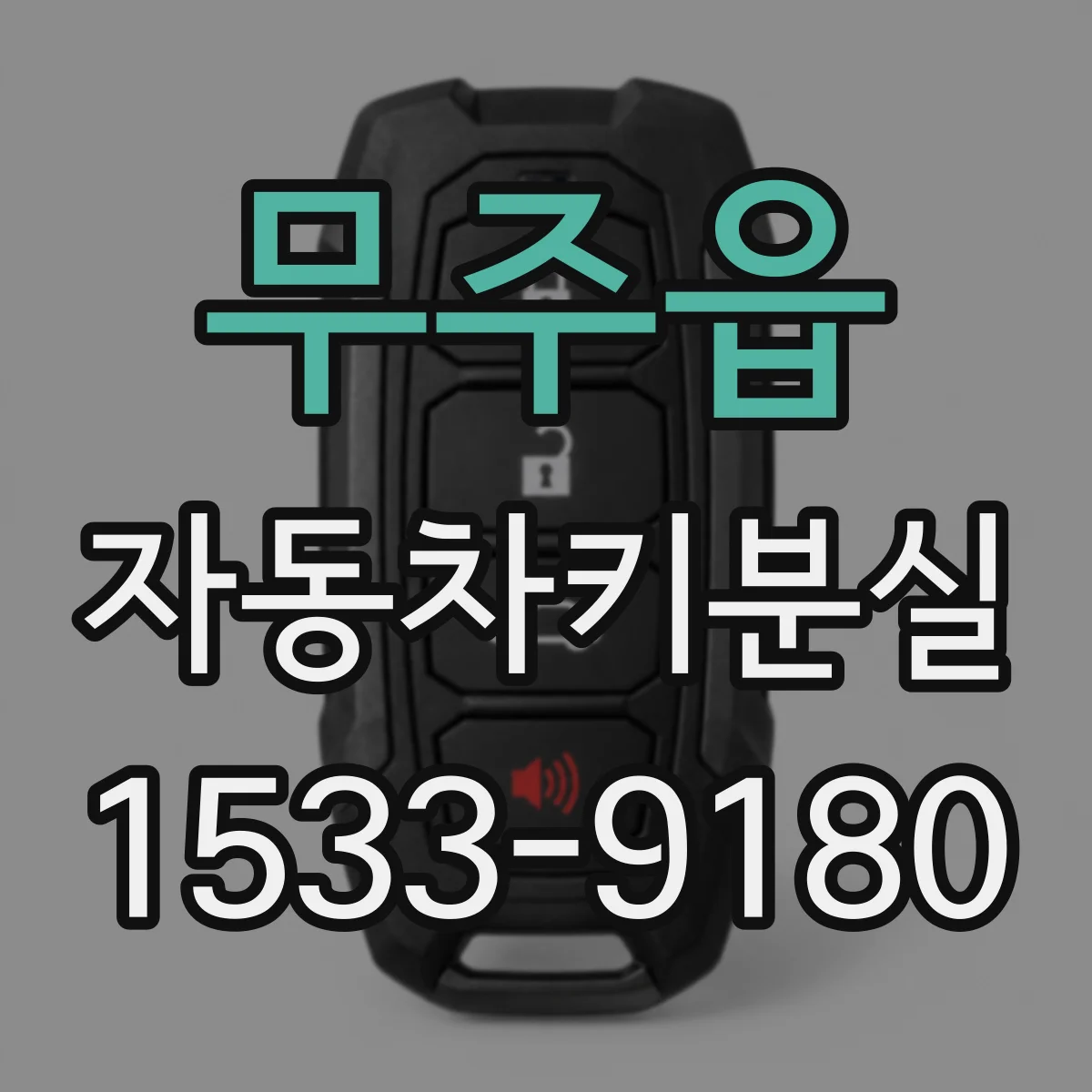 무주읍 자동차키분실