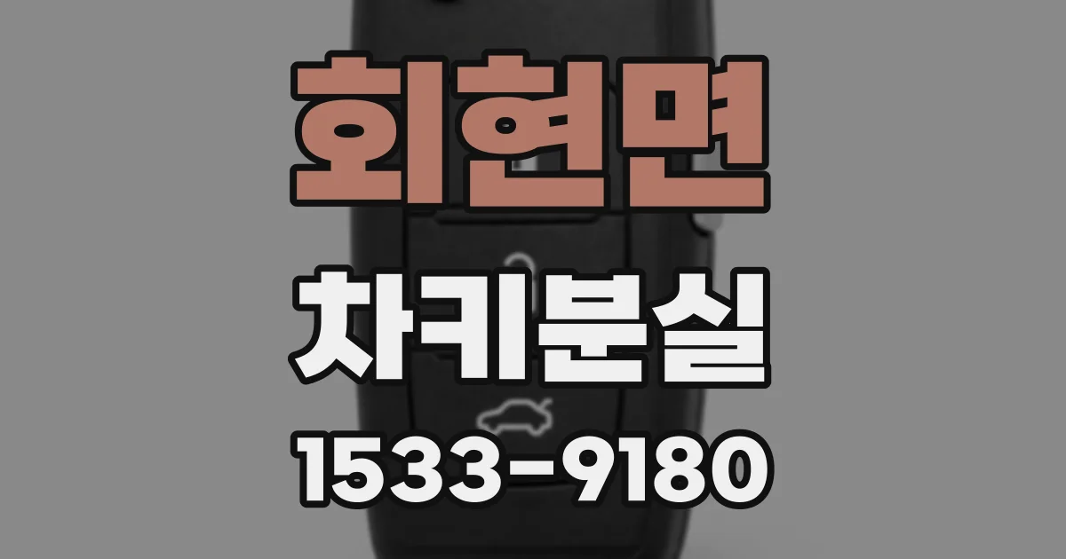 회현면 차키분실