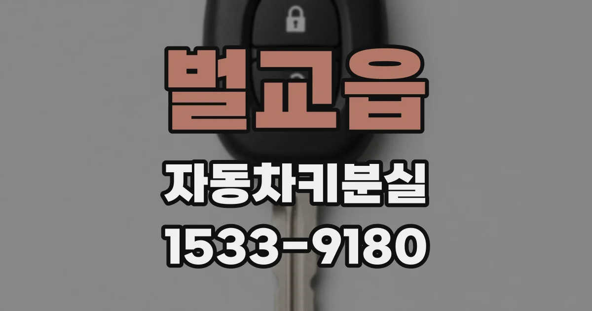 벌교읍 자동차키분실