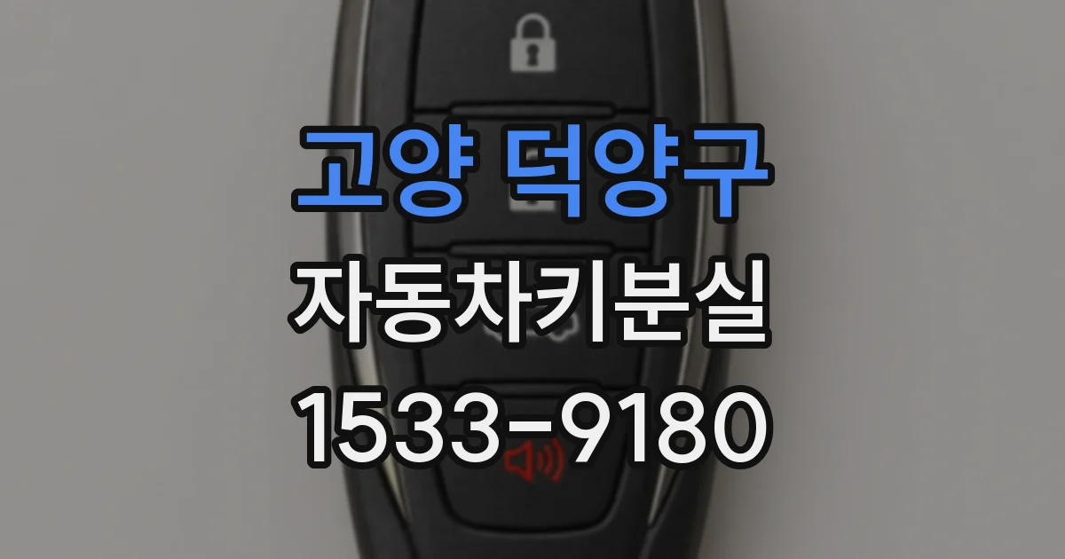 고양 덕양구 자동차키분실