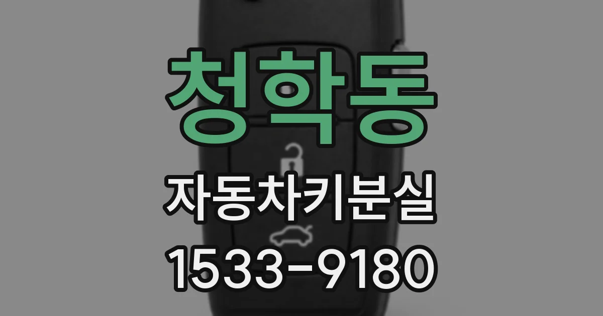 청학동 자동차키분실