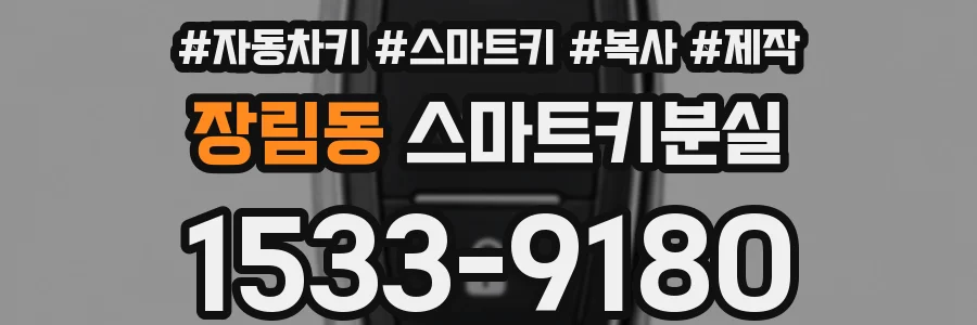 장림동 스마트키분실