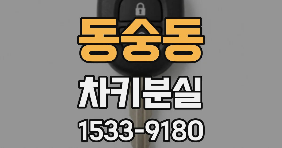 동숭동 차키분실