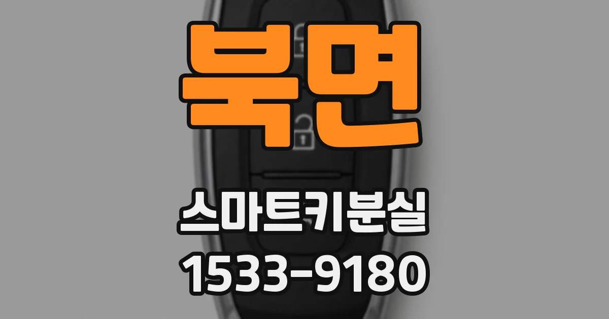 북면 스마트키분실
