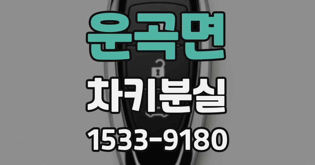 운곡면 차키분실
