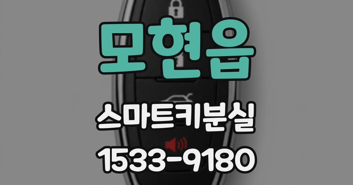 모현읍 스마트키분실