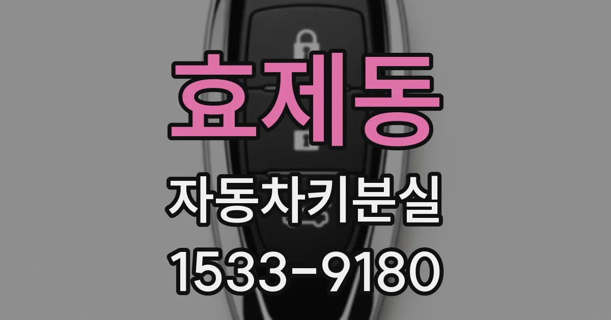 효제동 자동차키분실