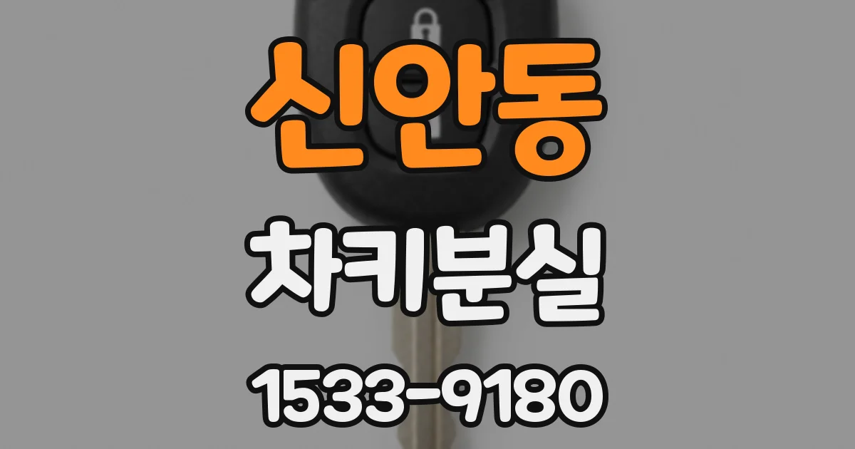 신안동 차키분실