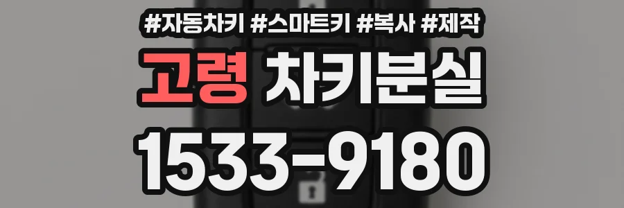 고령 차키분실