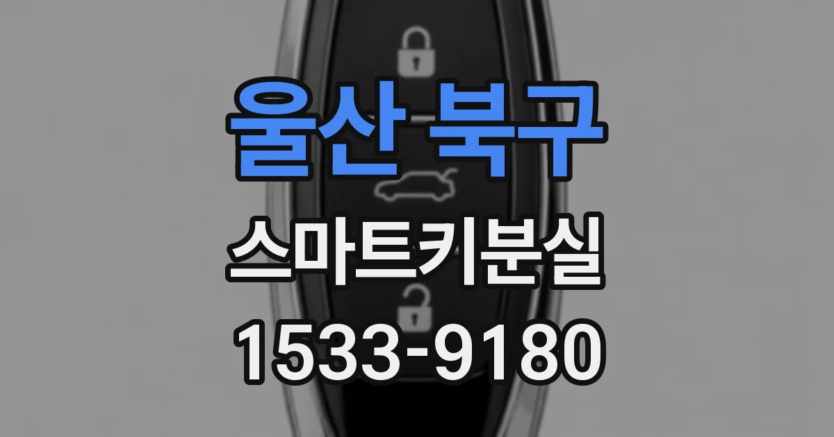 울산 북구 스마트키분실