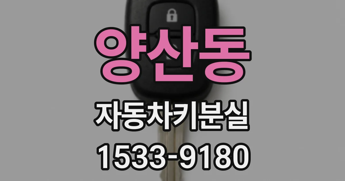 양산동 자동차키분실