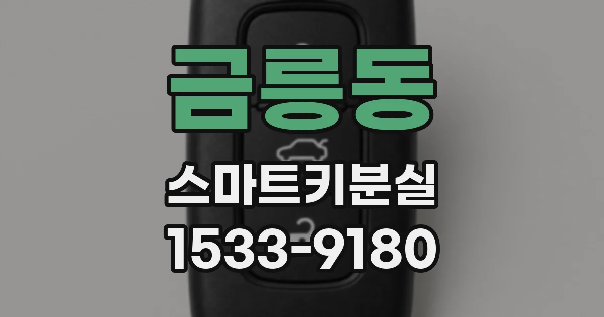 금릉동 스마트키분실