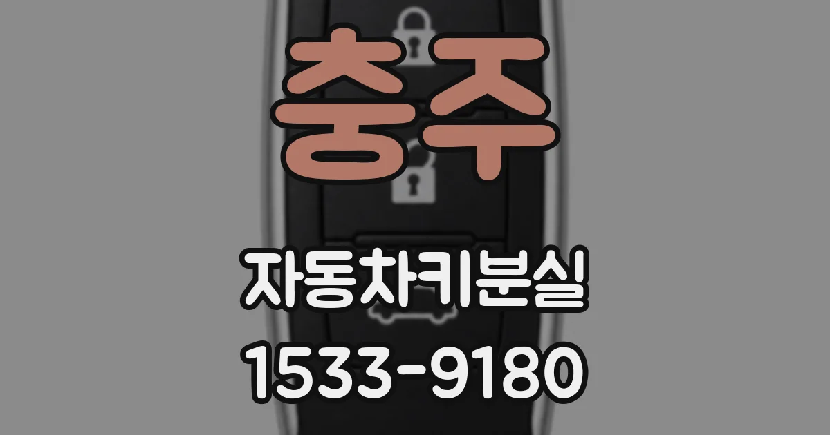 충주 자동차키분실