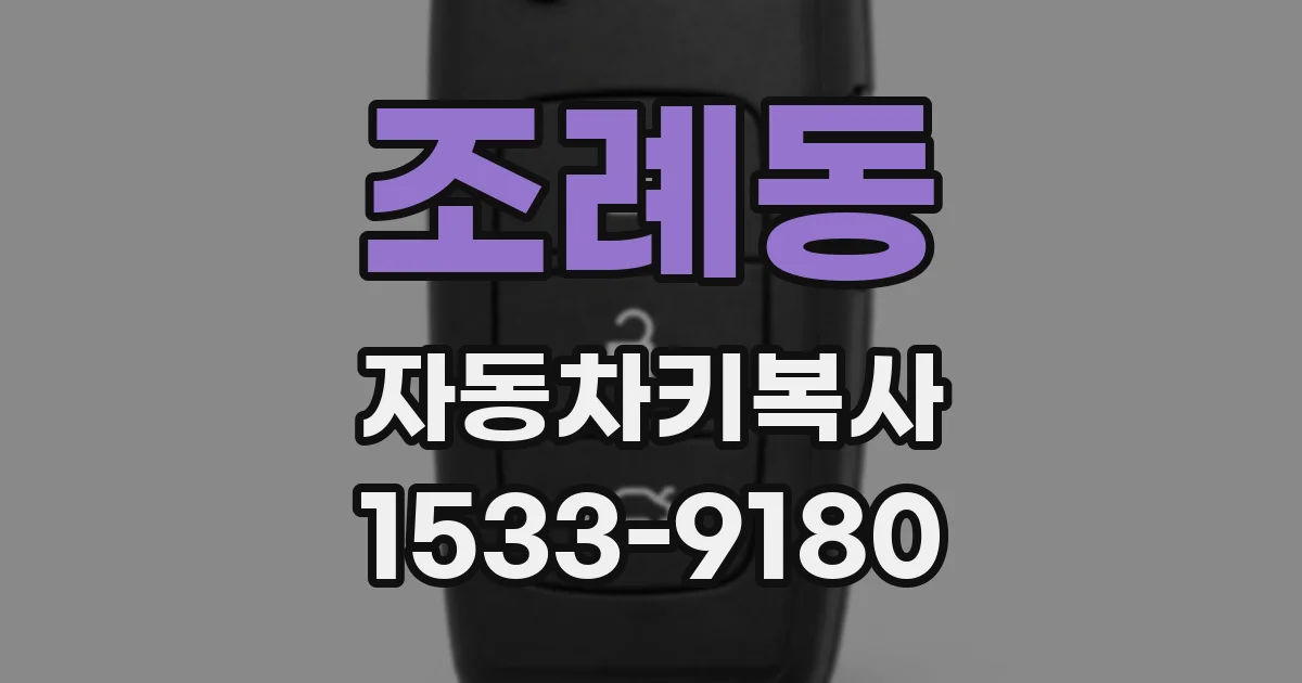 조례동 자동차키복사