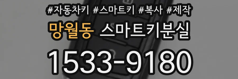 망월동 스마트키분실