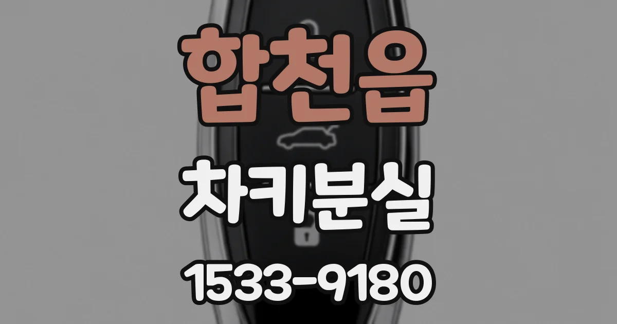 합천읍 차키분실