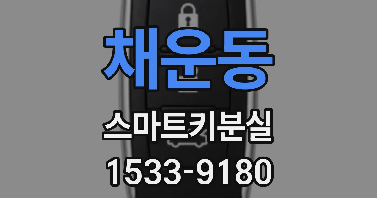 채운동 스마트키분실