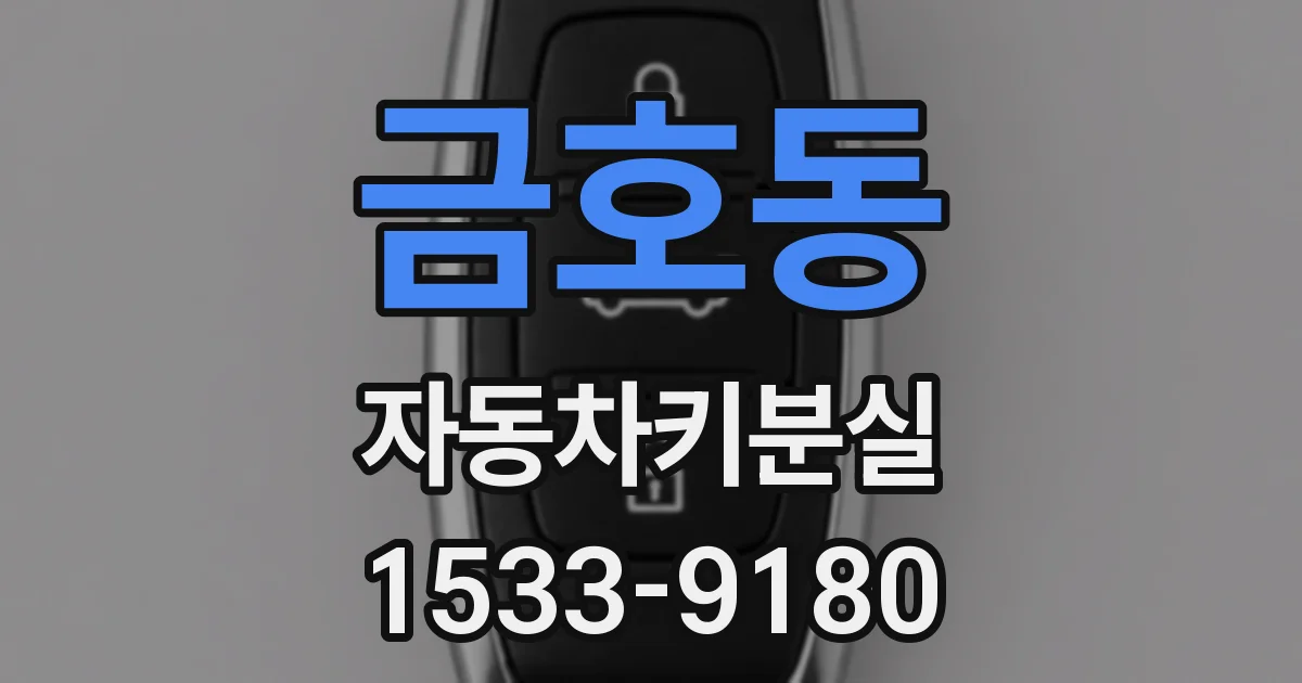 금호동 자동차키분실