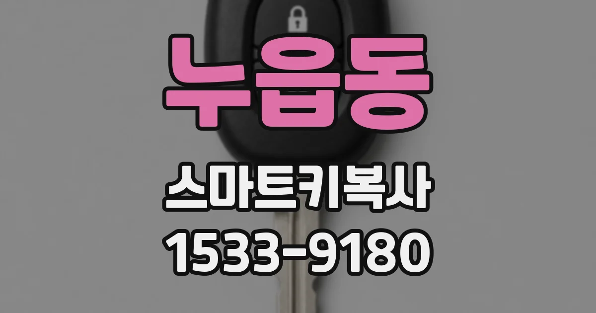 누읍동 스마트키복사