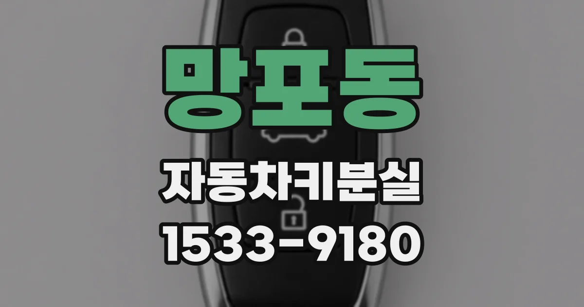 망포동 자동차키분실