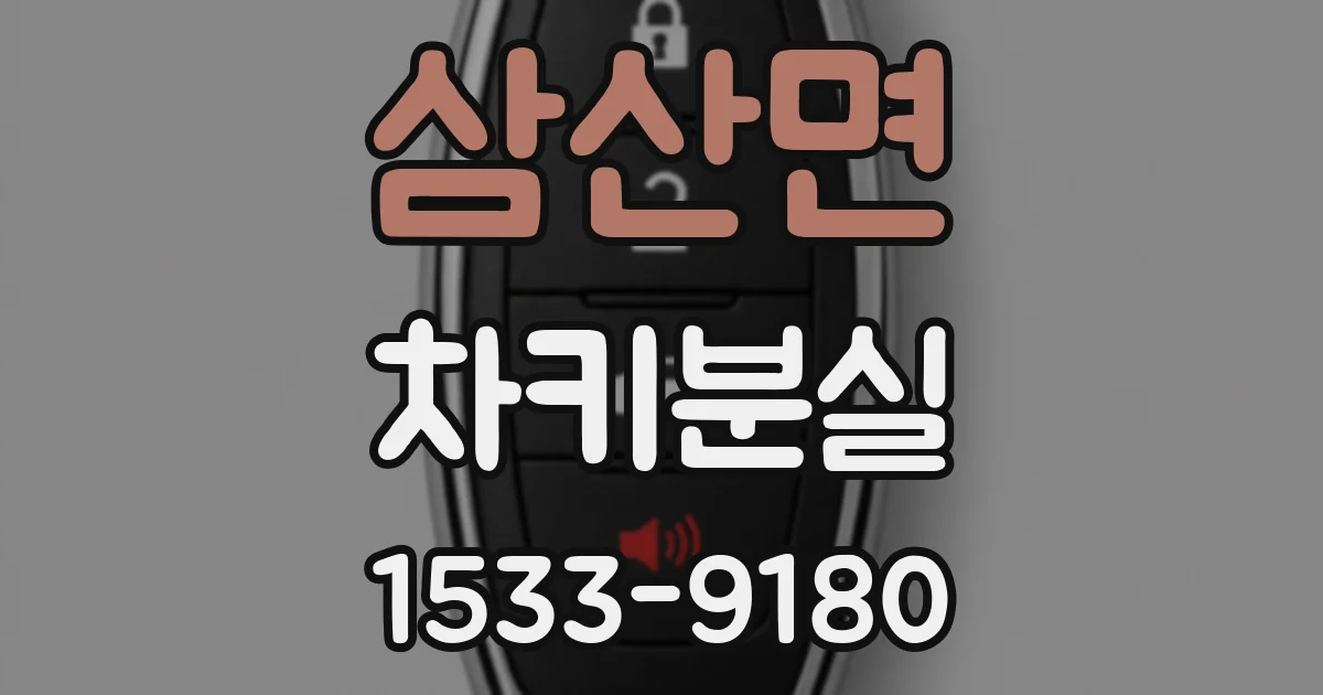 삼산면 차키분실