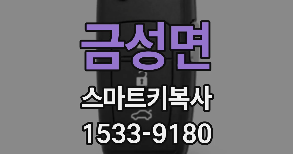 금성면 스마트키복사