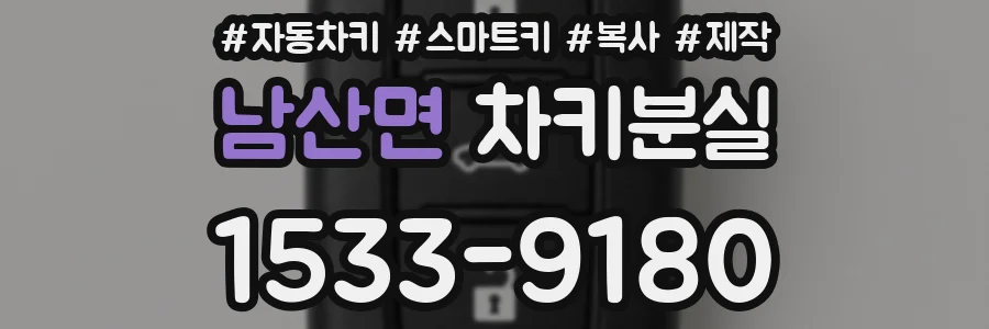 남산면 차키분실