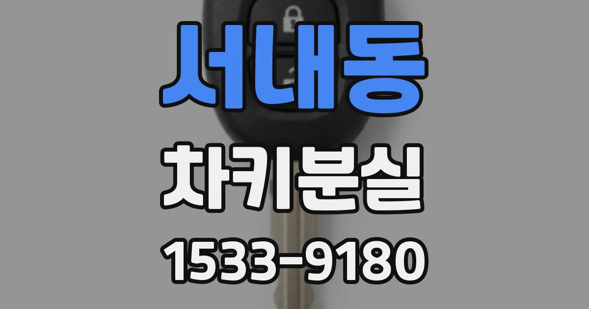 서내동 차키분실