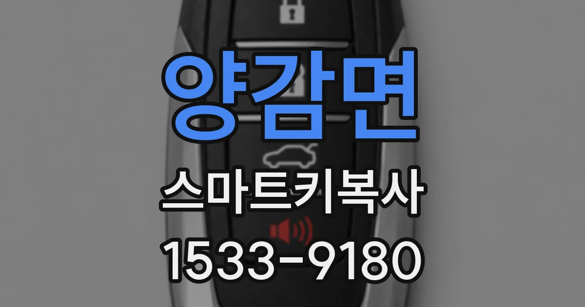양감면 스마트키복사