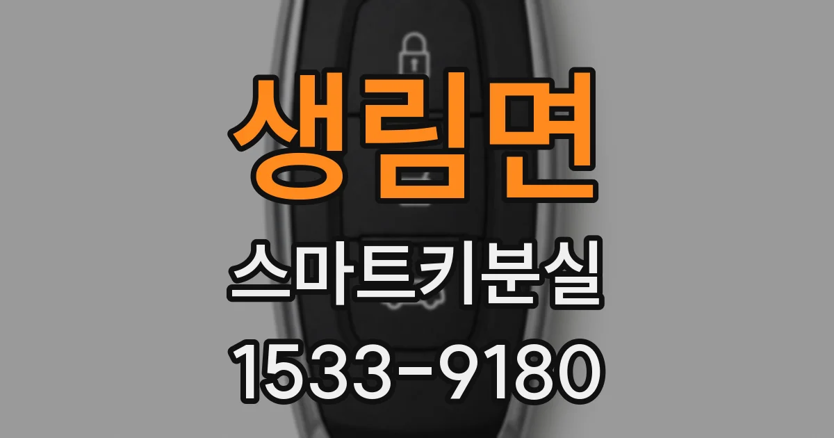 생림면 스마트키분실