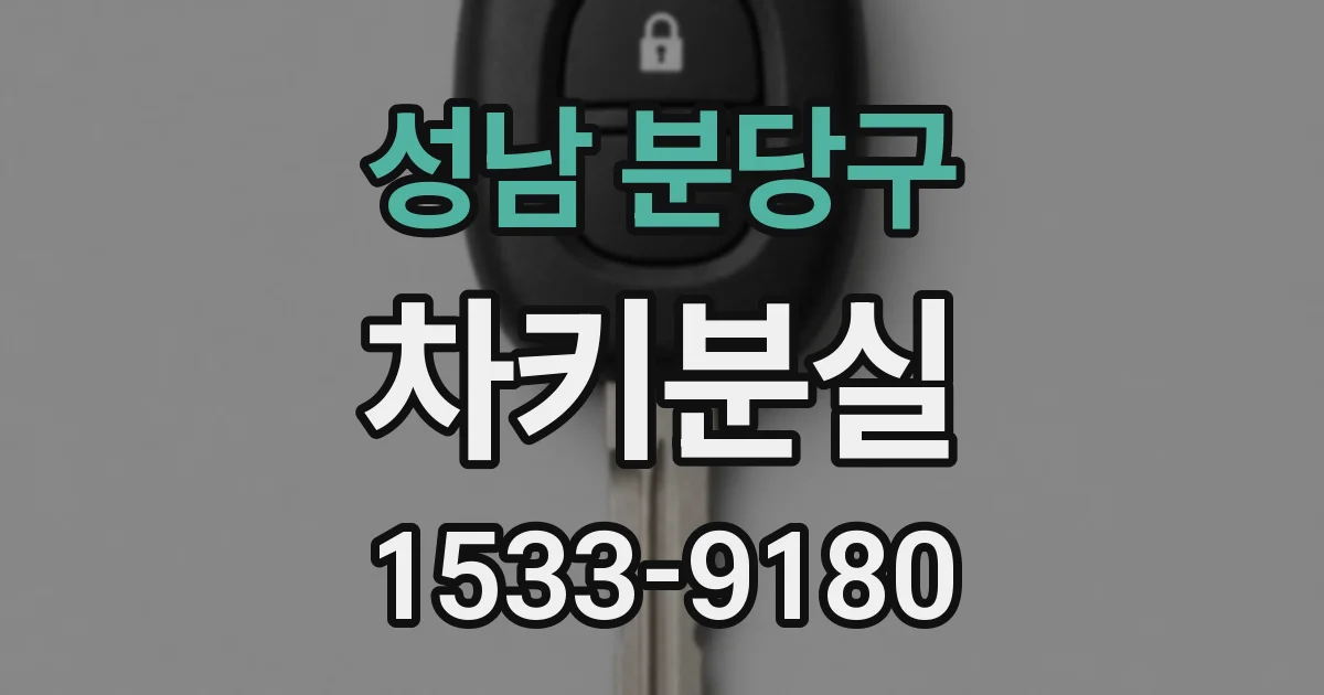 성남 분당구 차키분실