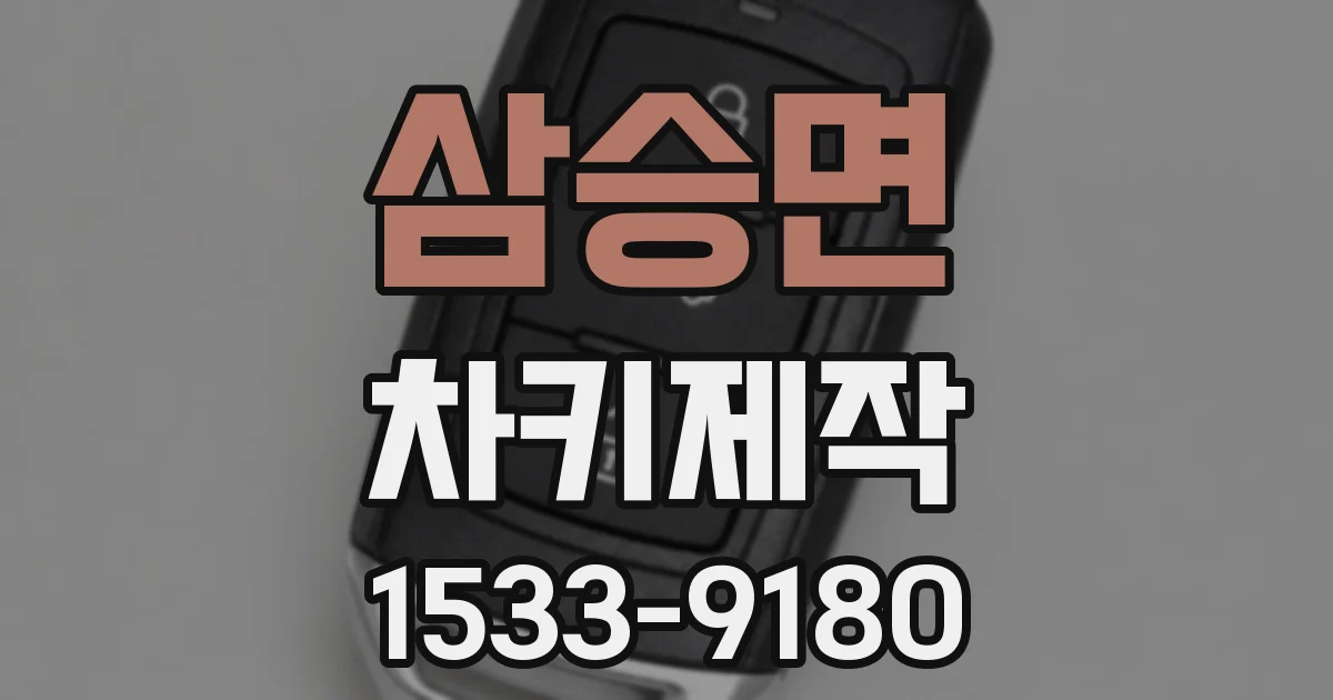 삼승면 차키제작