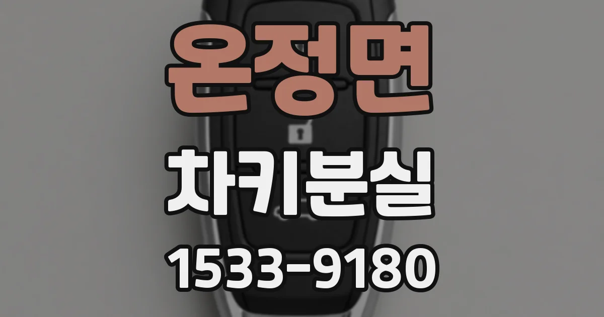 온정면 차키분실