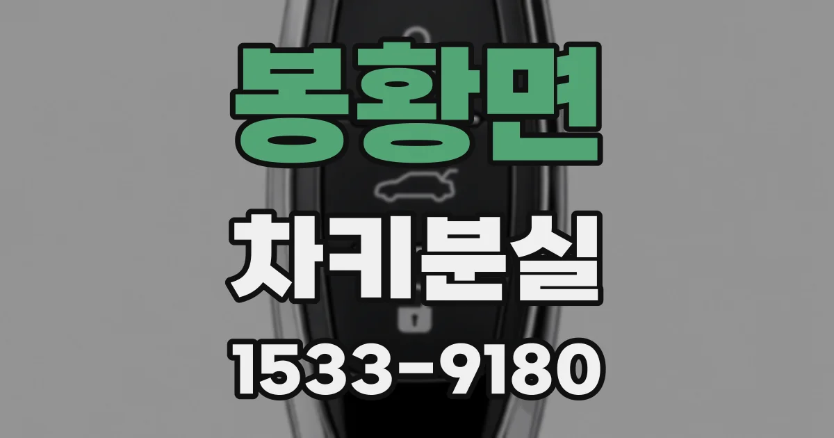 봉황면 차키분실