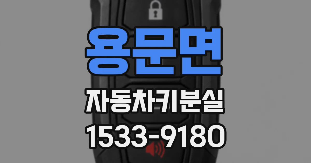 용문면 자동차키분실