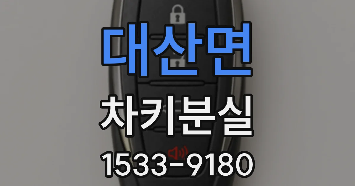 대산면 차키분실