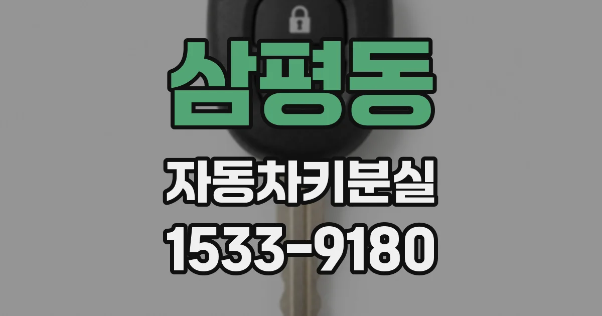 삼평동 자동차키분실