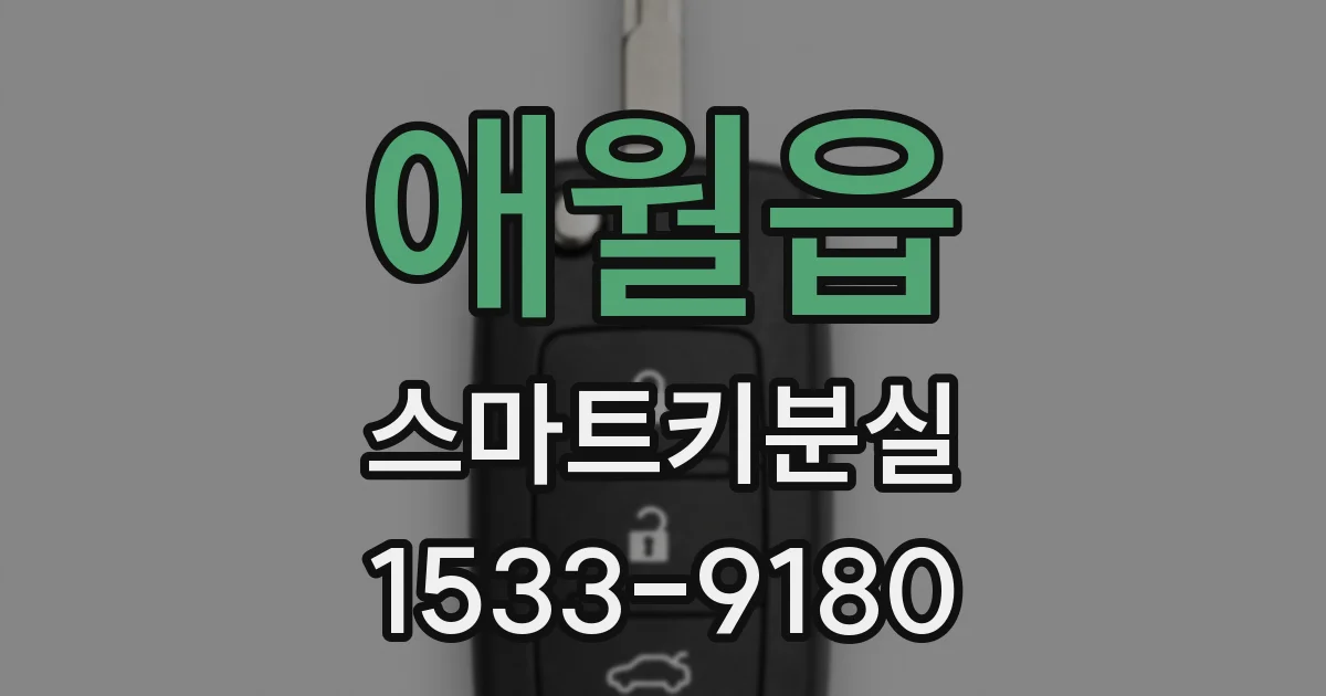 애월읍 스마트키분실