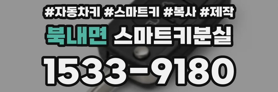 북내면 스마트키분실