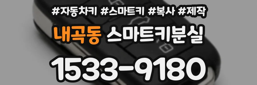 내곡동 스마트키분실