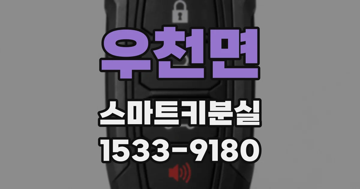 우천면 스마트키분실