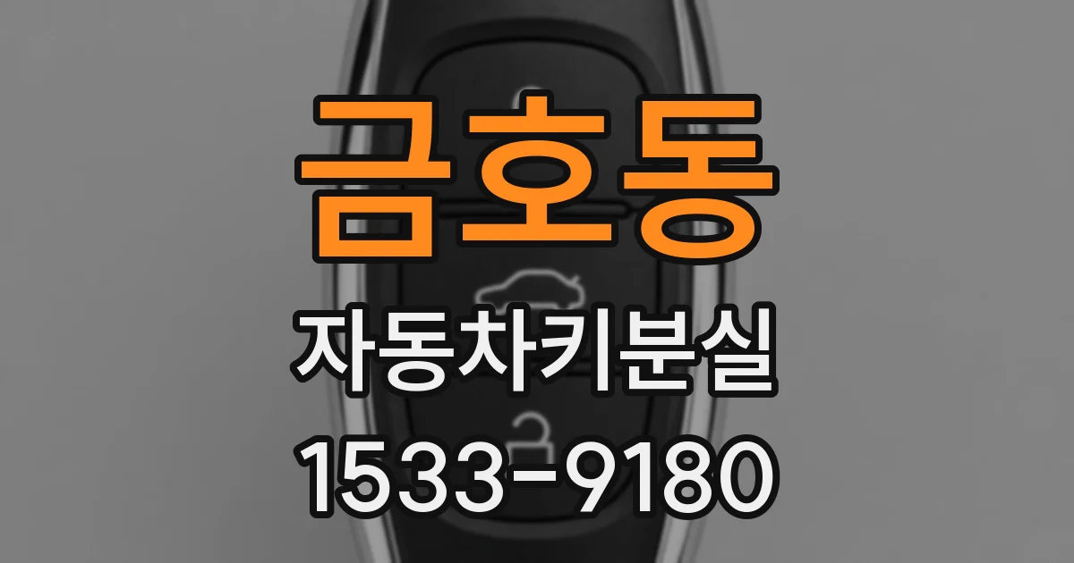 금호동 자동차키분실