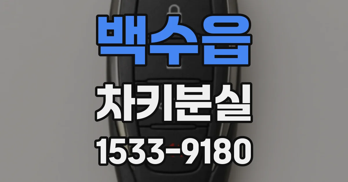 백수읍 차키분실