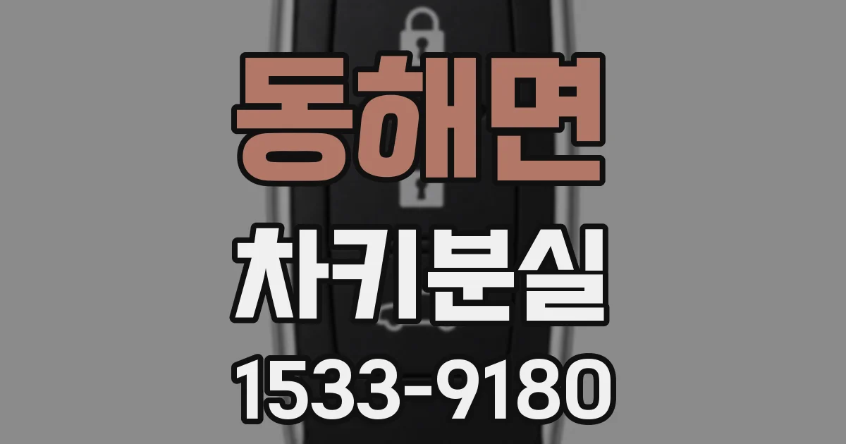 동해면 차키분실
