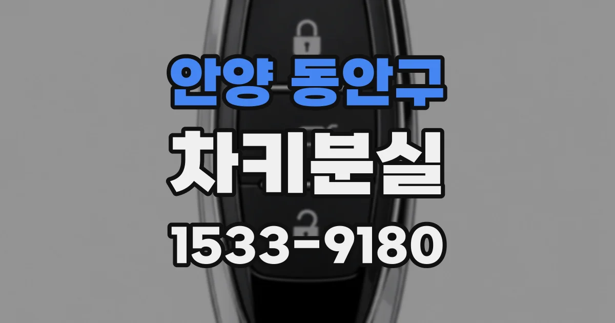 안양 동안구 차키분실