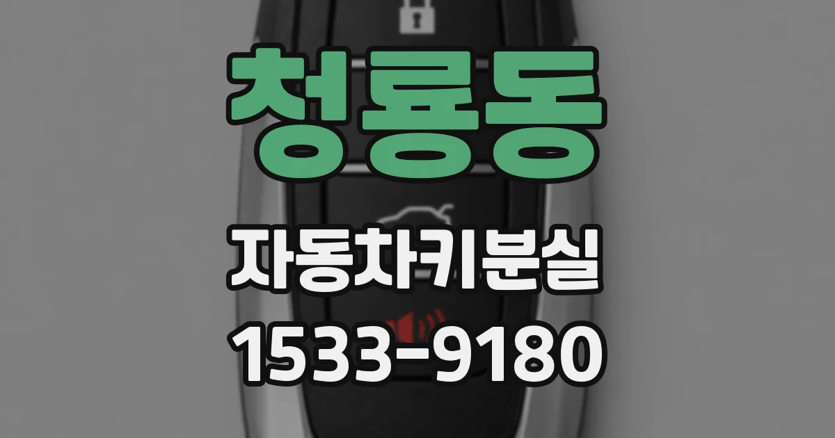 청룡동 자동차키분실
