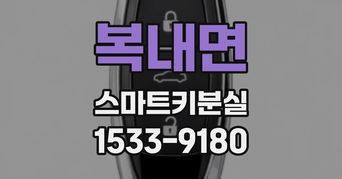 복내면 스마트키분실