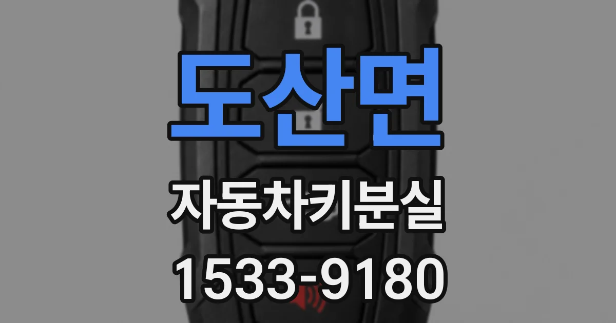 도산면 자동차키분실